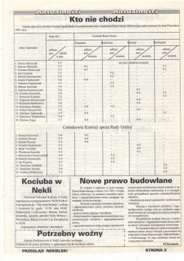 Przegląd Nekielski 02 / 1995 strona 3