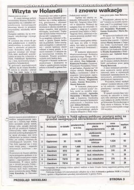 Przegląd Nekielski 07 / 1995 strona 3