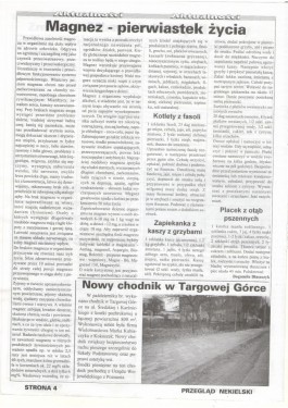 Przegląd Nekielski 11 / 1996 strona 4